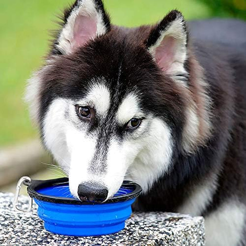 Large Collapsible Dog Bowls - 2 Pack, 34Oz Foldable Travel Bowls for Dogs