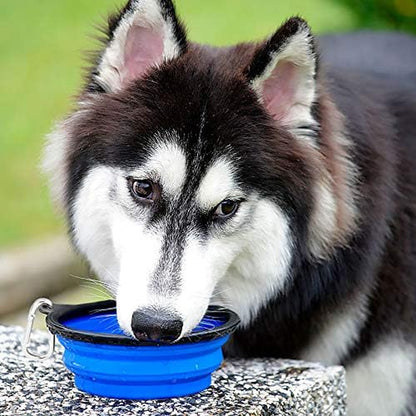 Large Collapsible Dog Bowls - 2 Pack, 34Oz Foldable Travel Bowls for Dogs