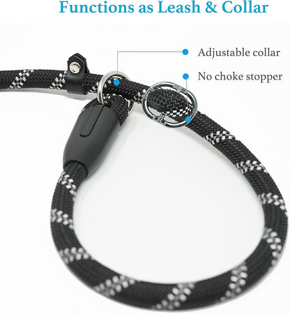 Premium 6 FT Black Slip Lead Dog Leash, 1/2" Width, Durable Design