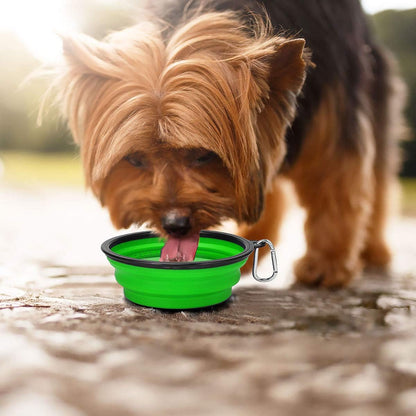 Large Collapsible Dog Bowls - 2 Pack, 34Oz Foldable Travel Bowls for Dogs