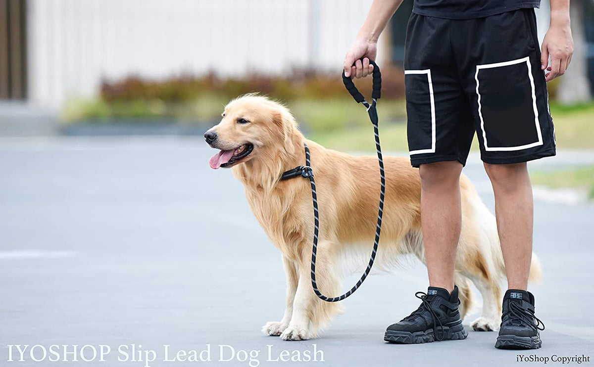 Premium 6 FT Black Slip Lead Dog Leash, 1/2" Width, Durable Design