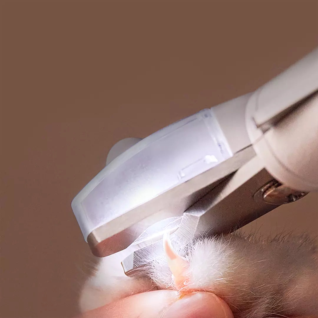 Professional Pet Nail Clipper with LED Light - Scissors for Dogs and Cats